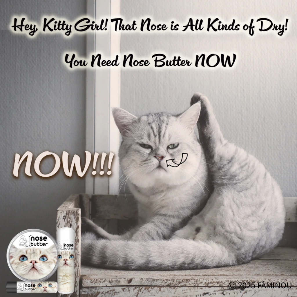 tw-11134207-81ztp-mh6d2x8xx3bhef