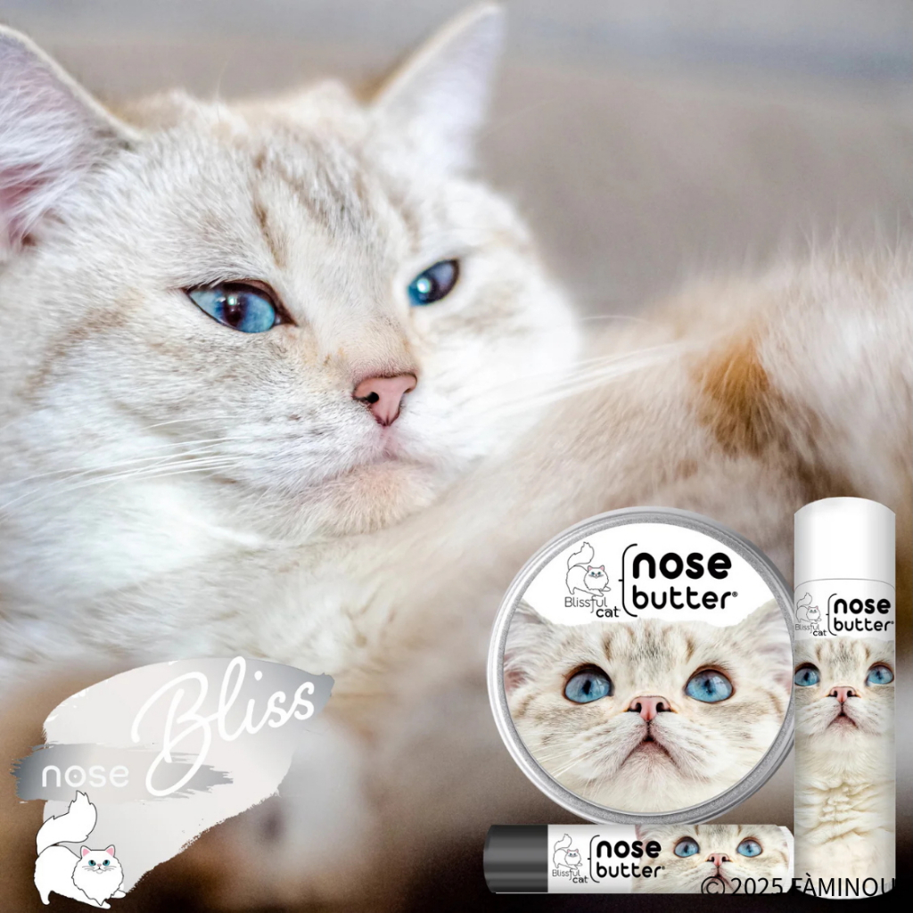 tw-11134207-81ztc-mh6d2xa08gzz0d