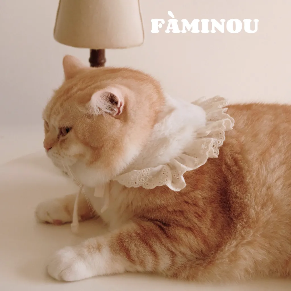 tw-11134207-81zti-mhr9hf1xu4n465