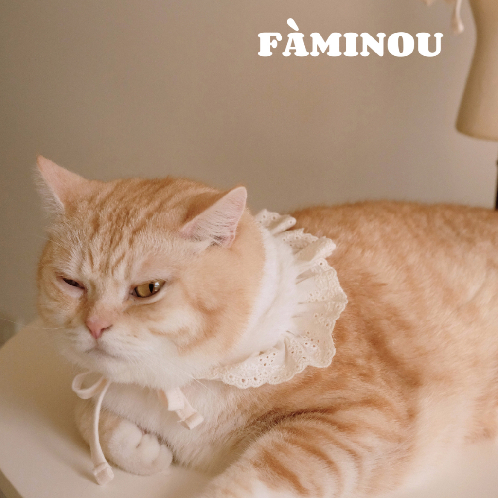 tw-11134207-81ztj-mhr9hf1ynmkj31