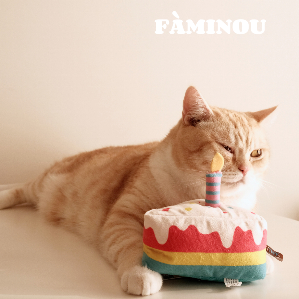 tw-11134207-81ztk-mgxgb96lynf056