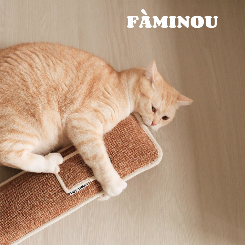 tw-11134207-81zte-mizo7zvx4uf952