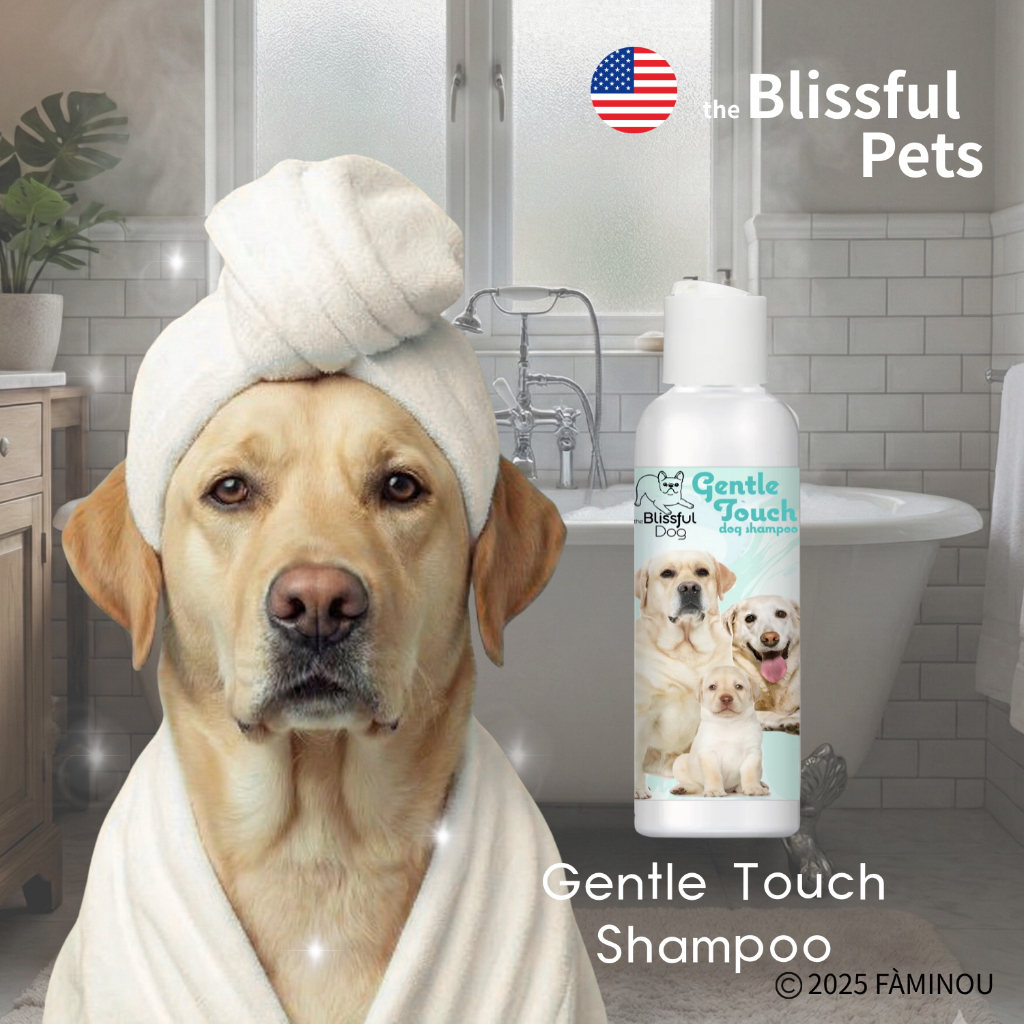 tw-11134207-81ztn-mjqrwofoazus35