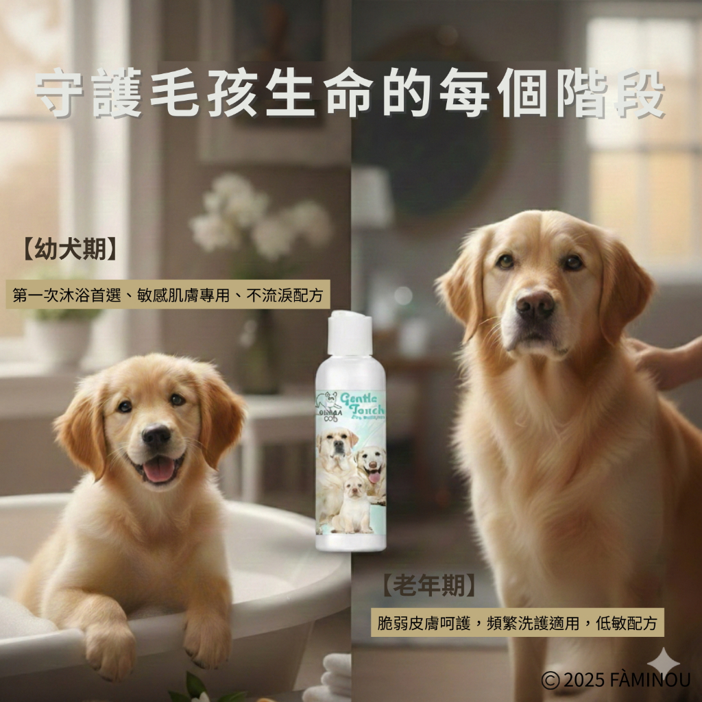 tw-11134207-81ztd-mjqrwogvcc8y13