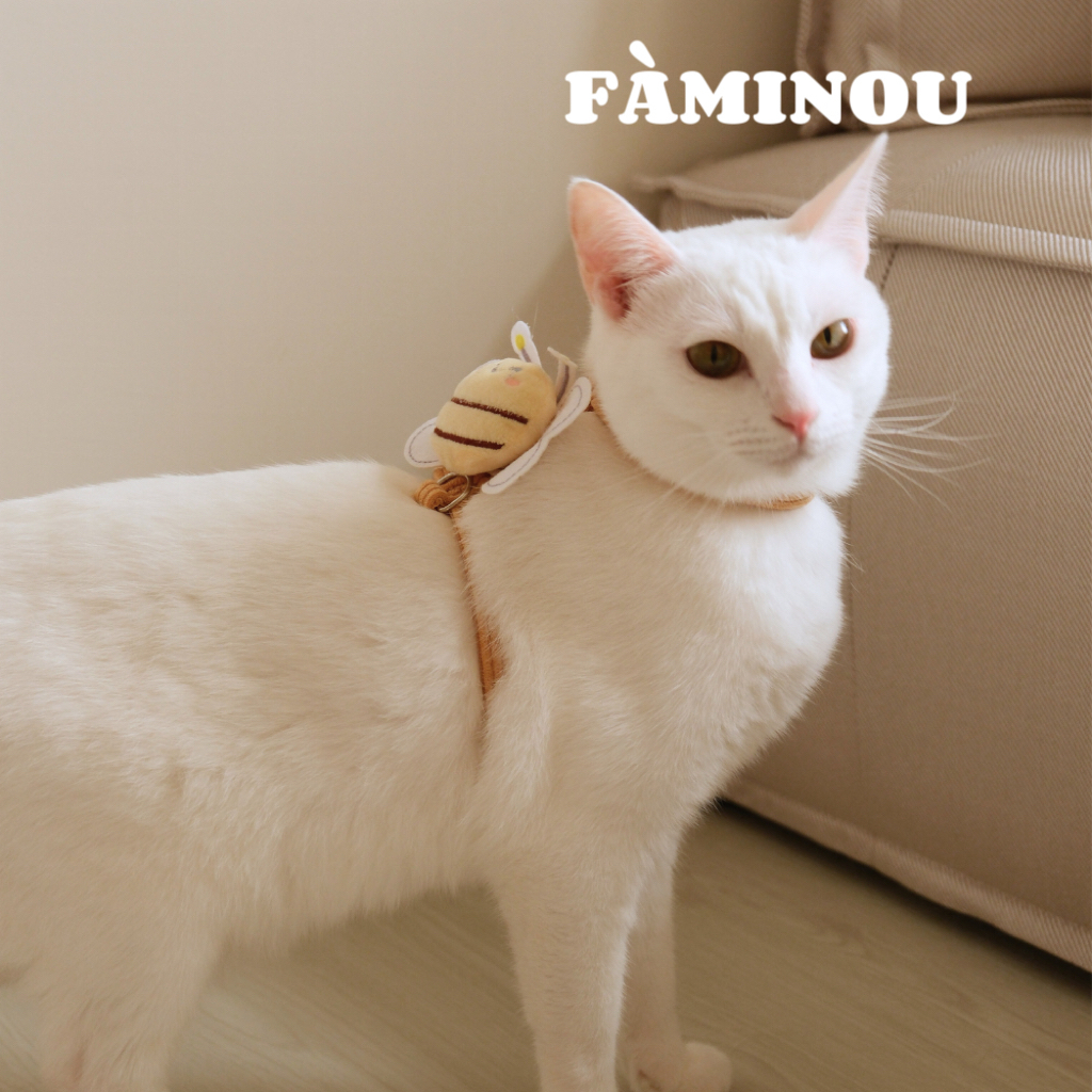 tw-11134207-81zti-mjnup4rbeg3ld2