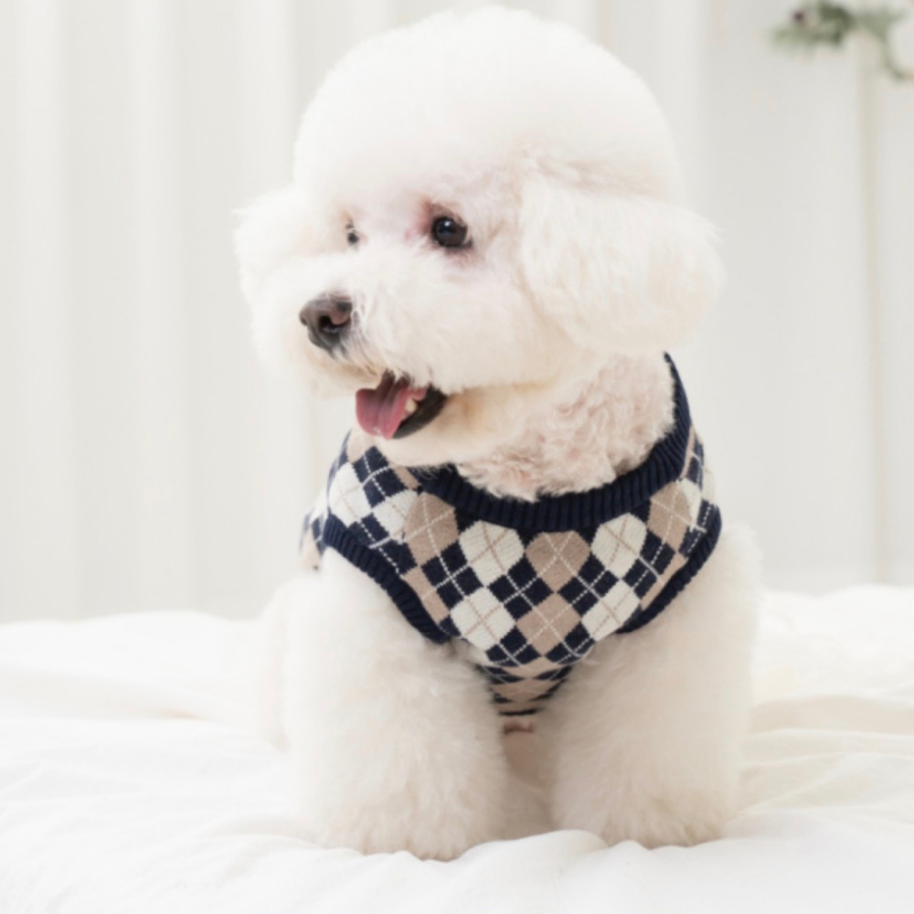 tw-11134207-81zth-mjz9n4camjus4d