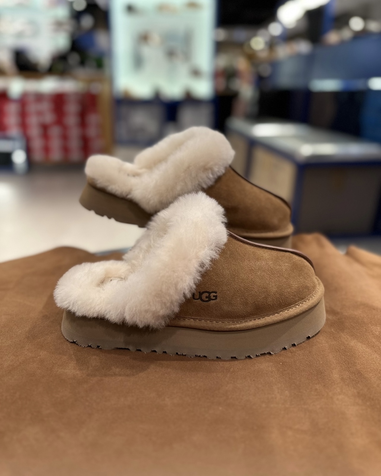 UGG DISQUETTE 羊毛厚底拖鞋