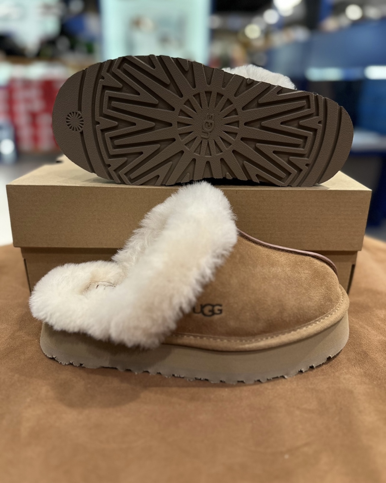 UGG DISQUETTE 羊毛厚底拖鞋1