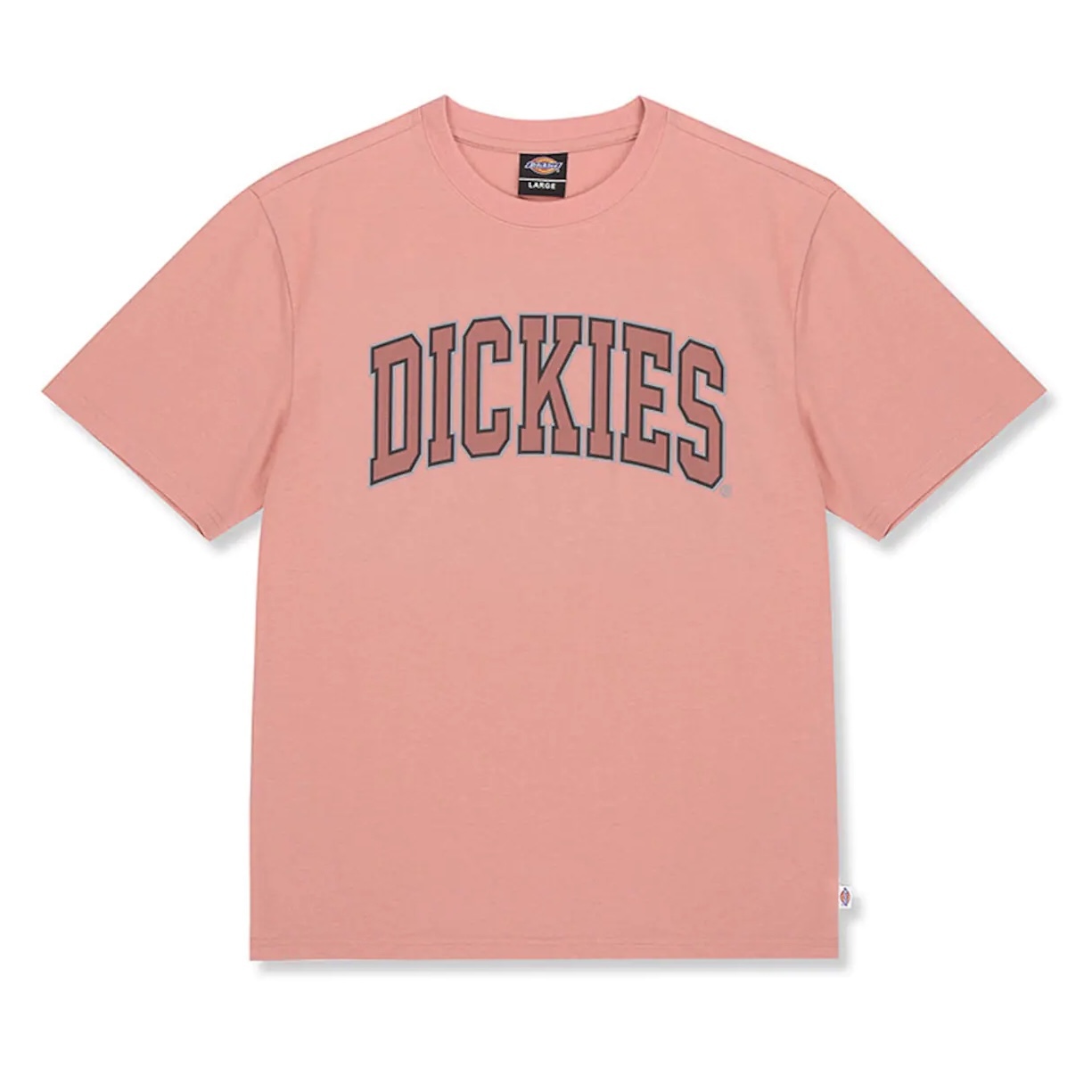 韓國限定DICKIES 復古大學LOGO標 短袖T恤4