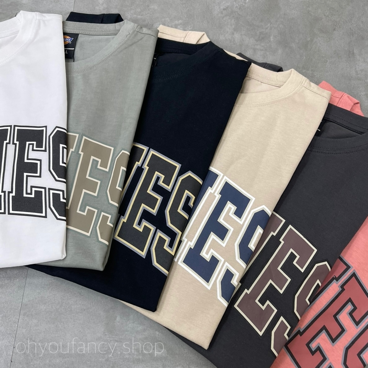 韓國限定DICKIES 復古大學LOGO標 短袖T恤