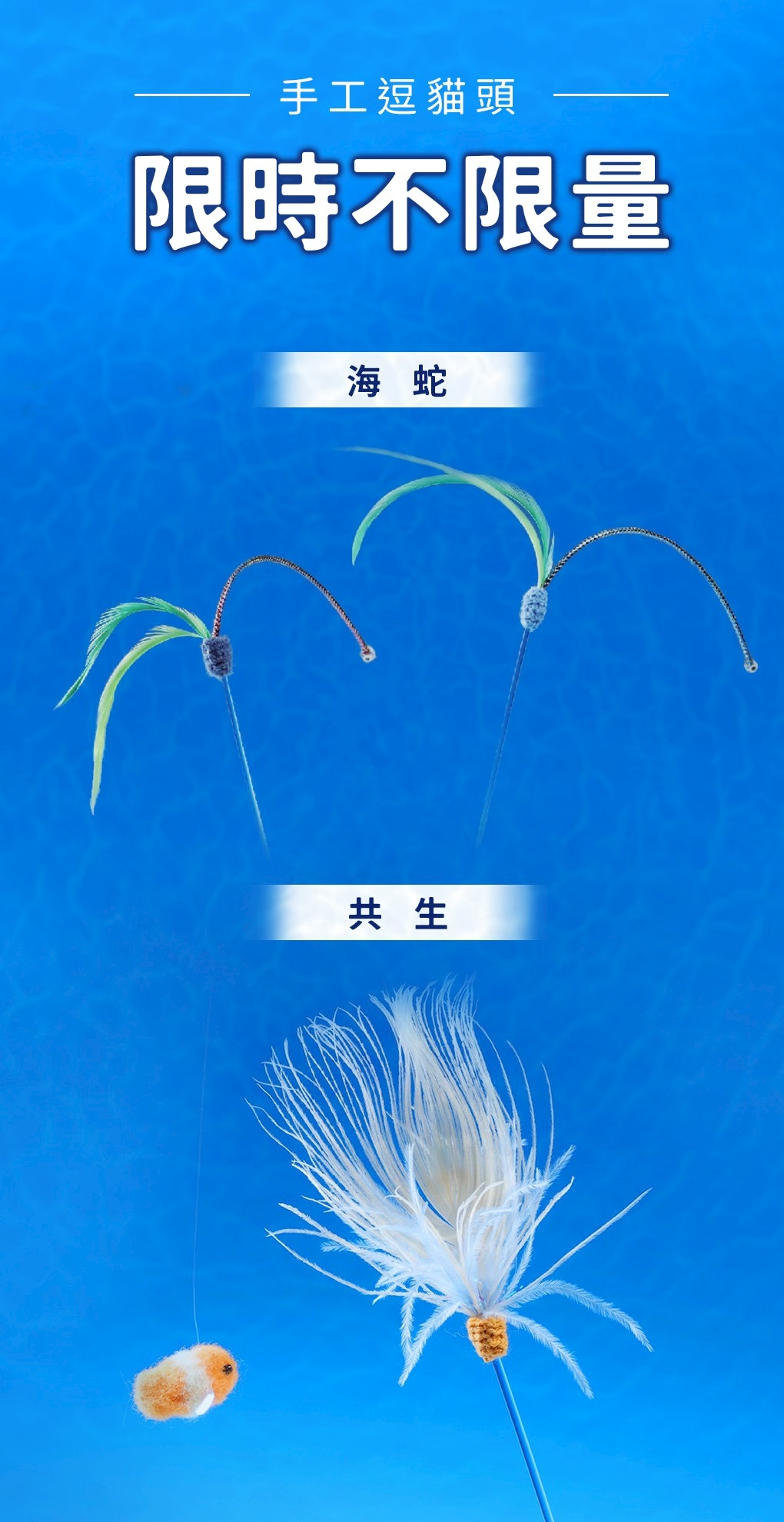 LINE_ALBUM_海洋祭dm_250605_1