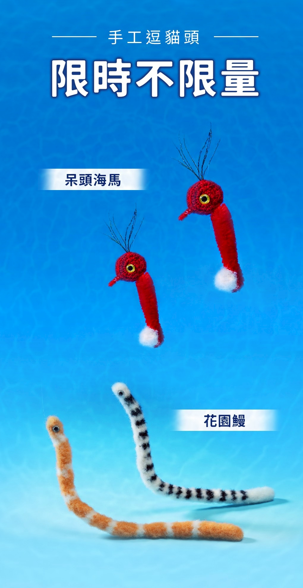 LINE_ALBUM_海洋祭dm_250605_7