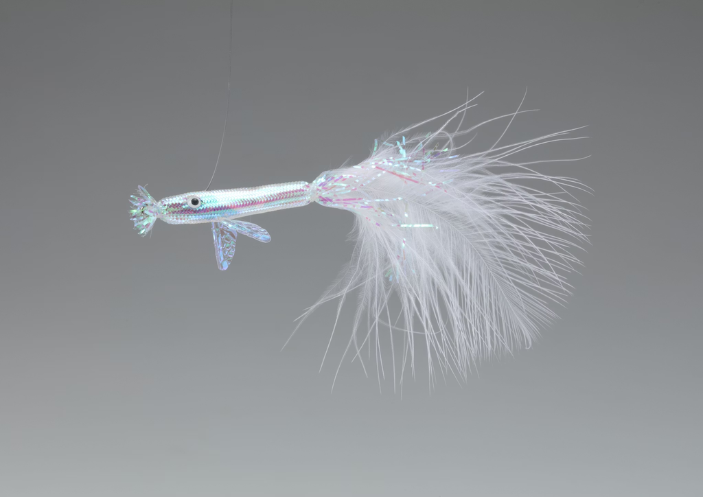 孔雀魚