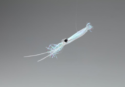 烤魷魚