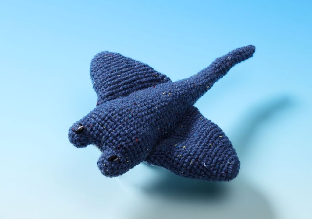 魟魚