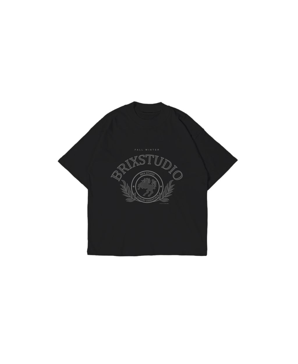 fw25 website tee front black