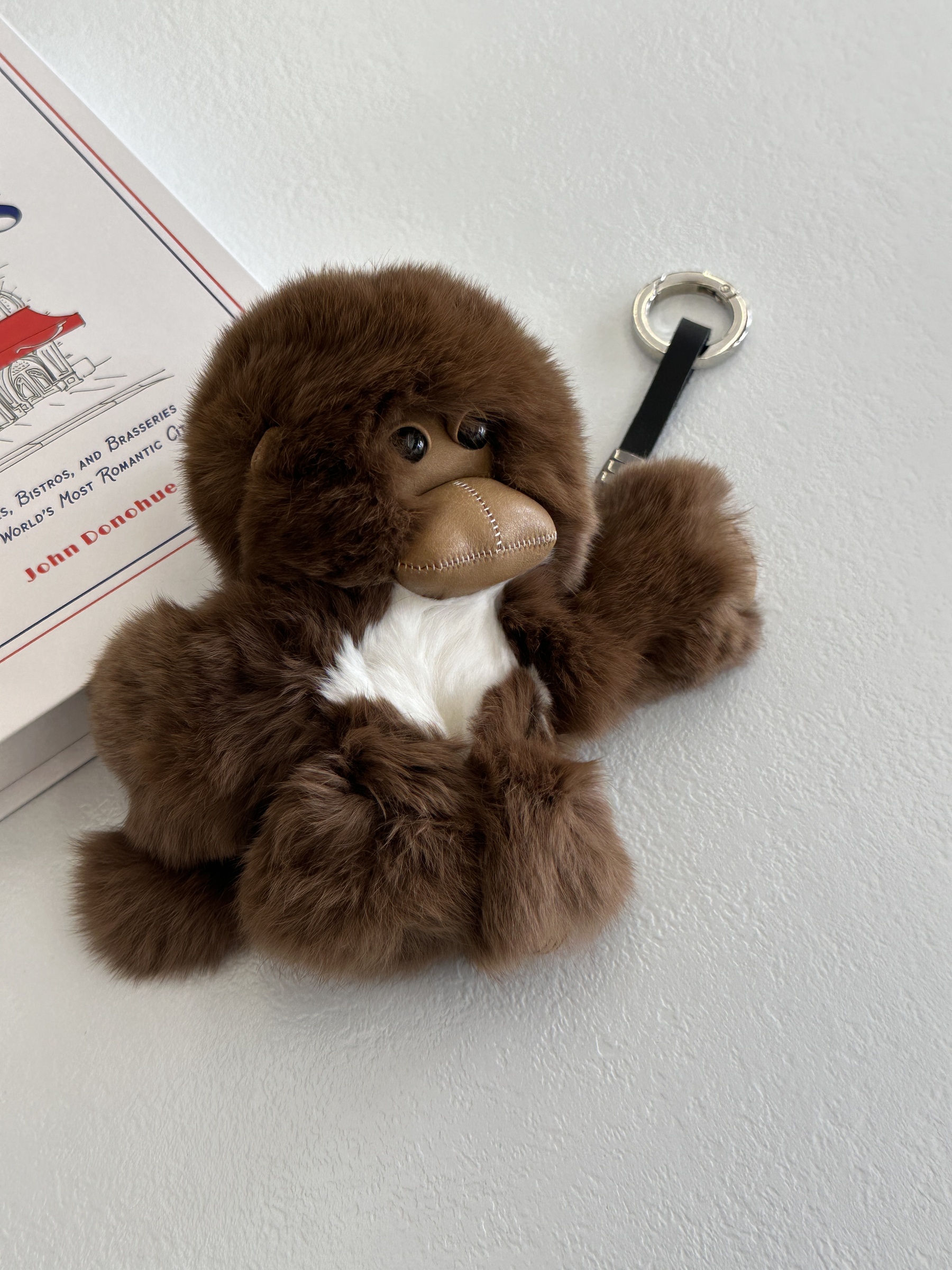 image_3256E89B-22AB-4B30-AA31-127AB960139D_1769243463