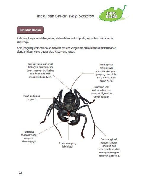 Kemunculan Tetamu Tidak Diundang  3