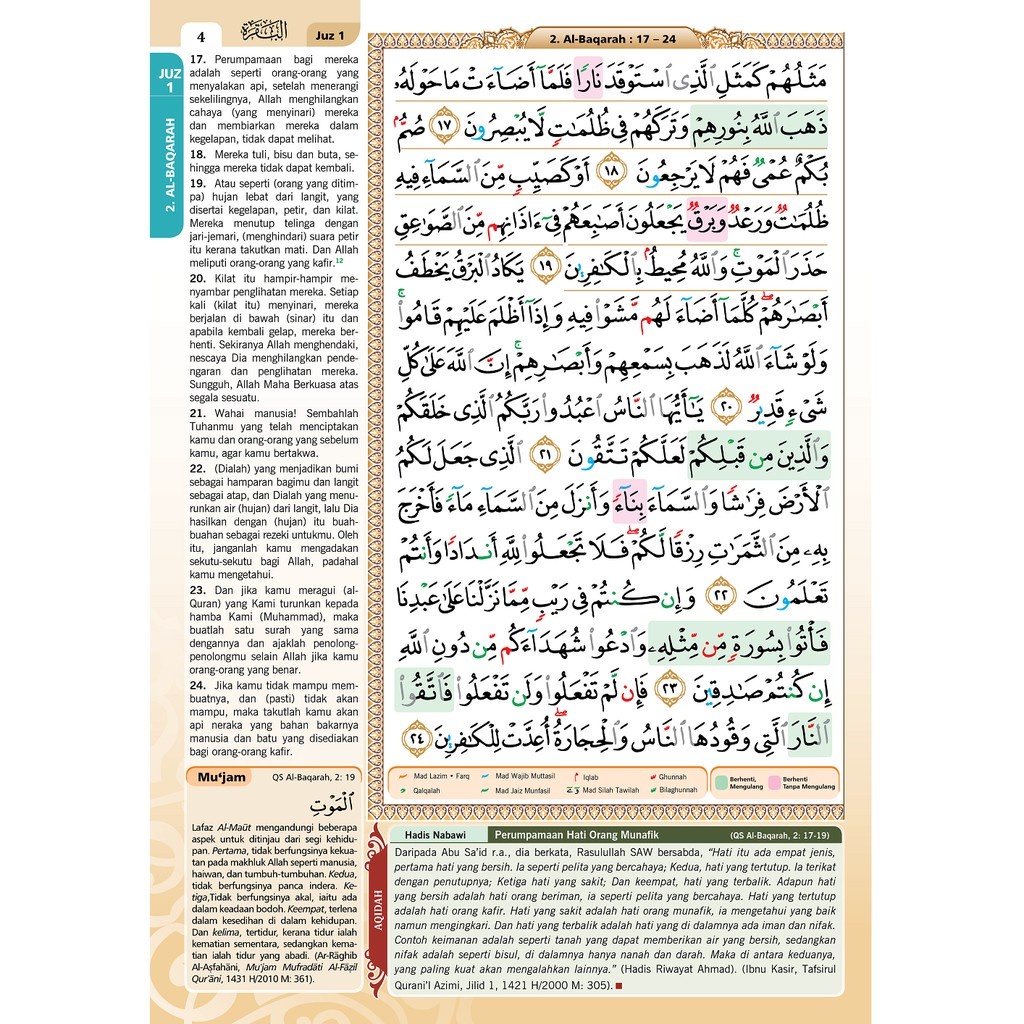 sg-11134201-23020-hgleb8tyqunv59