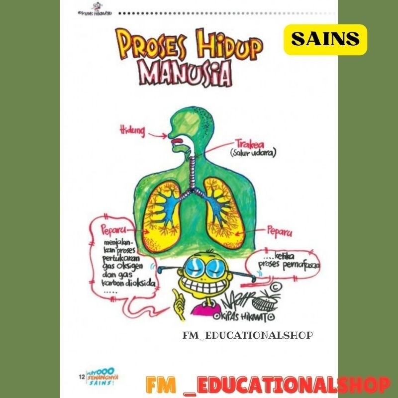 sg-11134201-7rd5d-luwnu6atokjh38