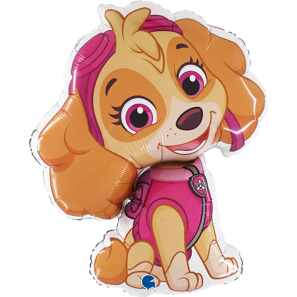 l211-paw-patrol-skye-b