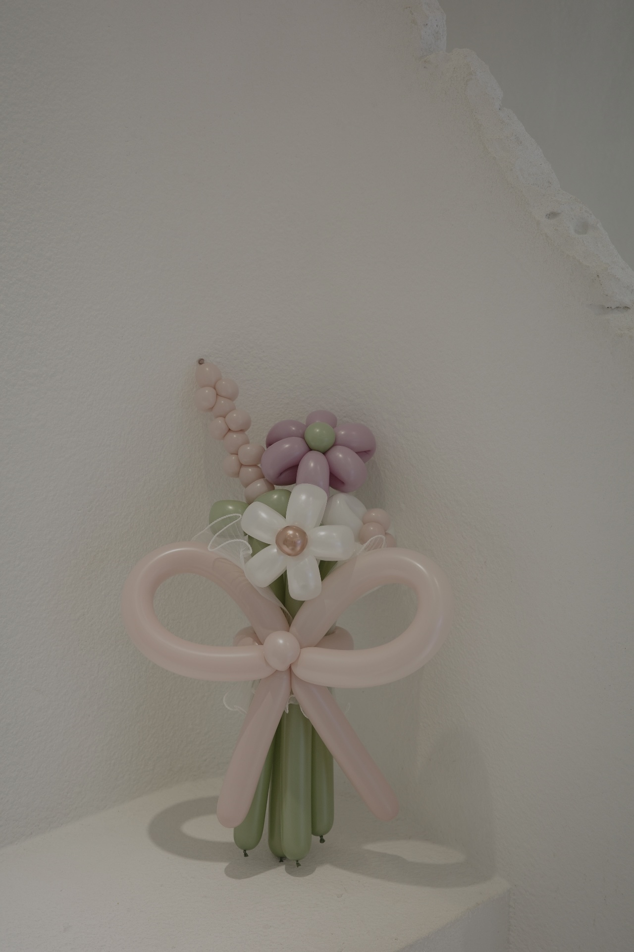 R0004216