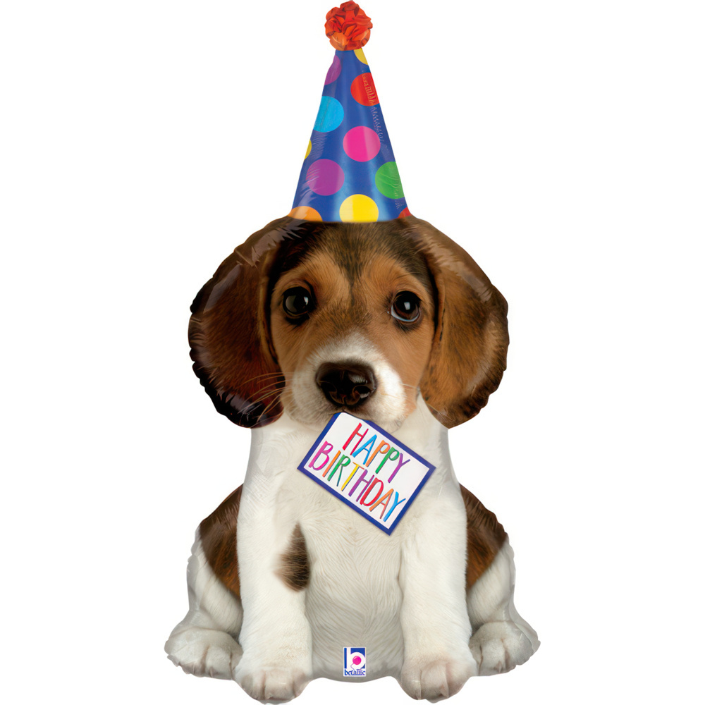 35561-birthday-puppy-b