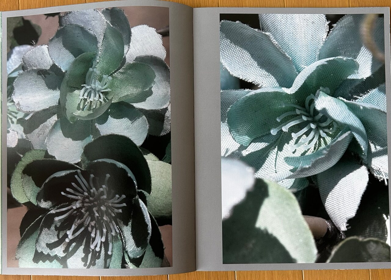 a60111054e0c2f94dea354737412ef6f