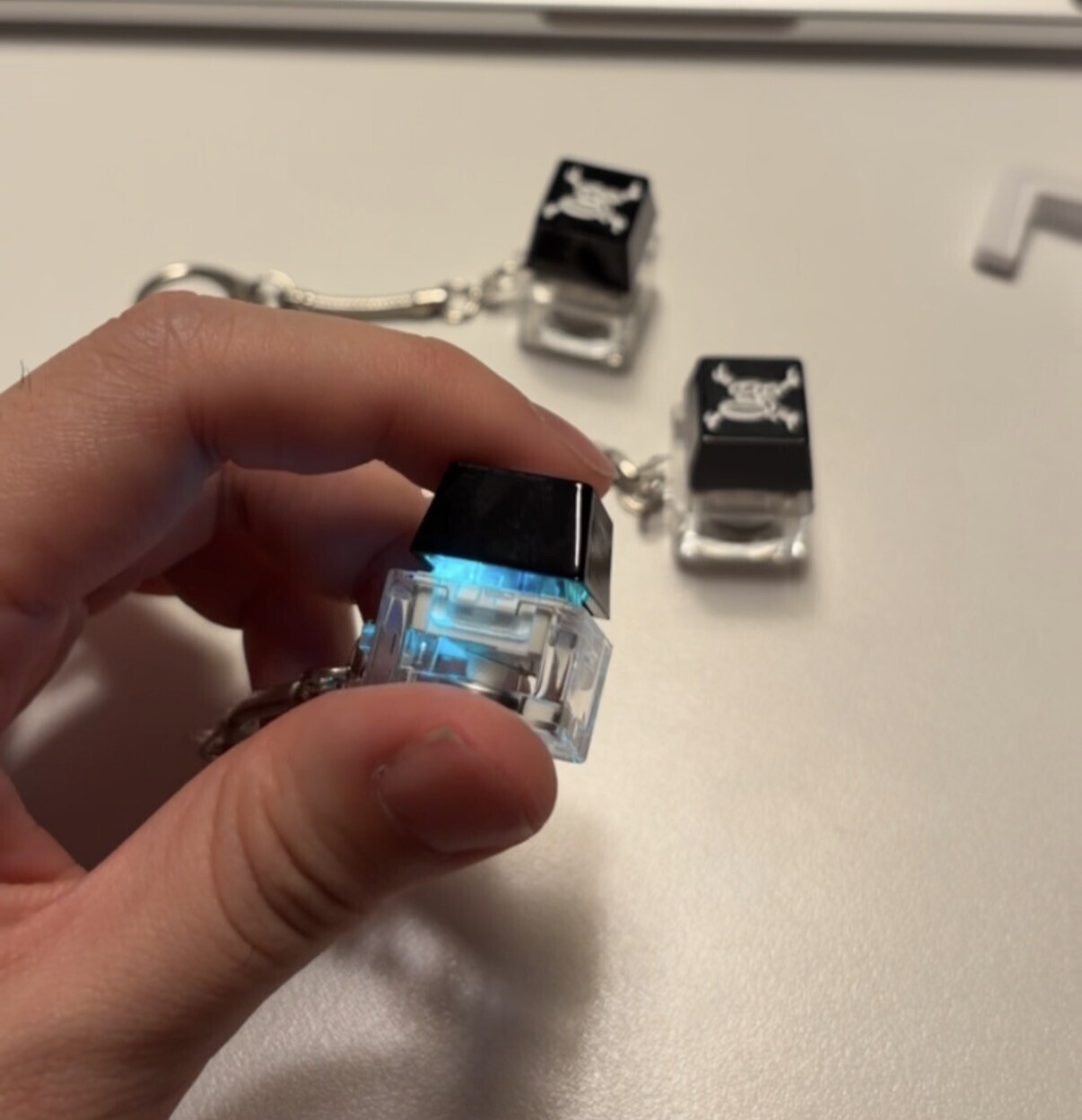 image_1765973198603_2500