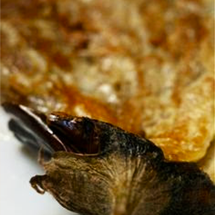 tortang talong.png