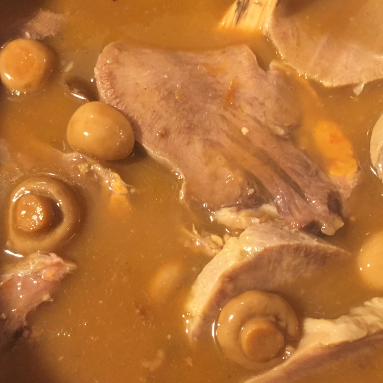 lengua.png
