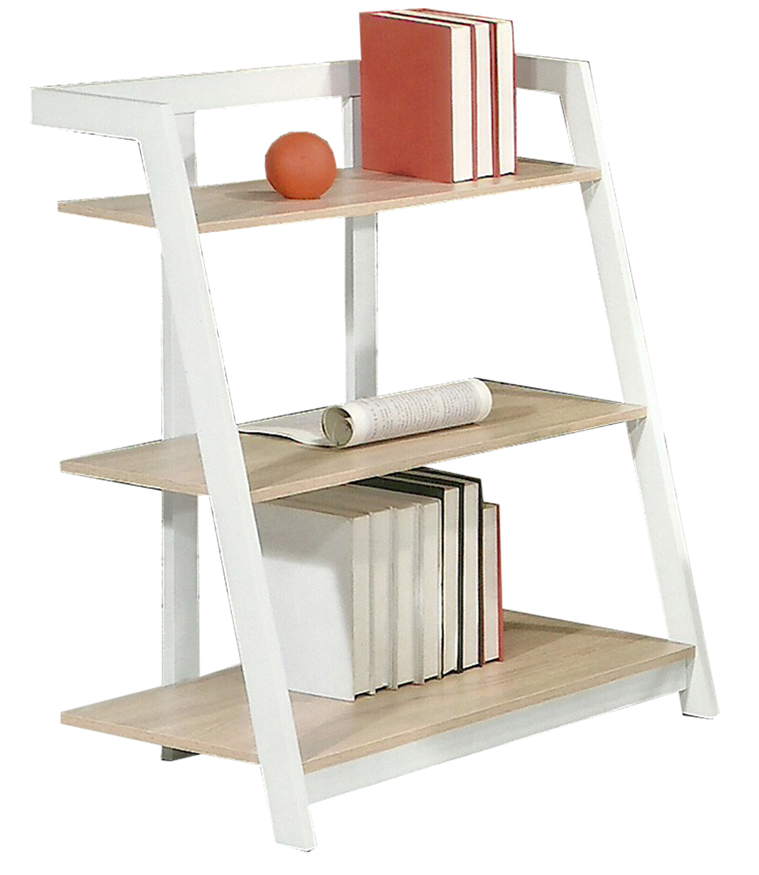 book shelf JN 2578B3.jpg