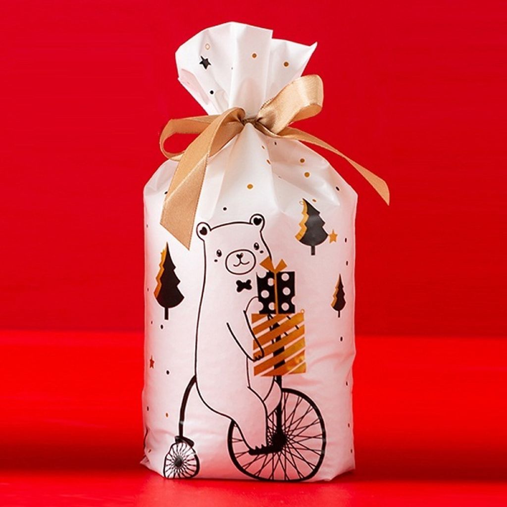 Drawstring Bag_CmasBear.jpg