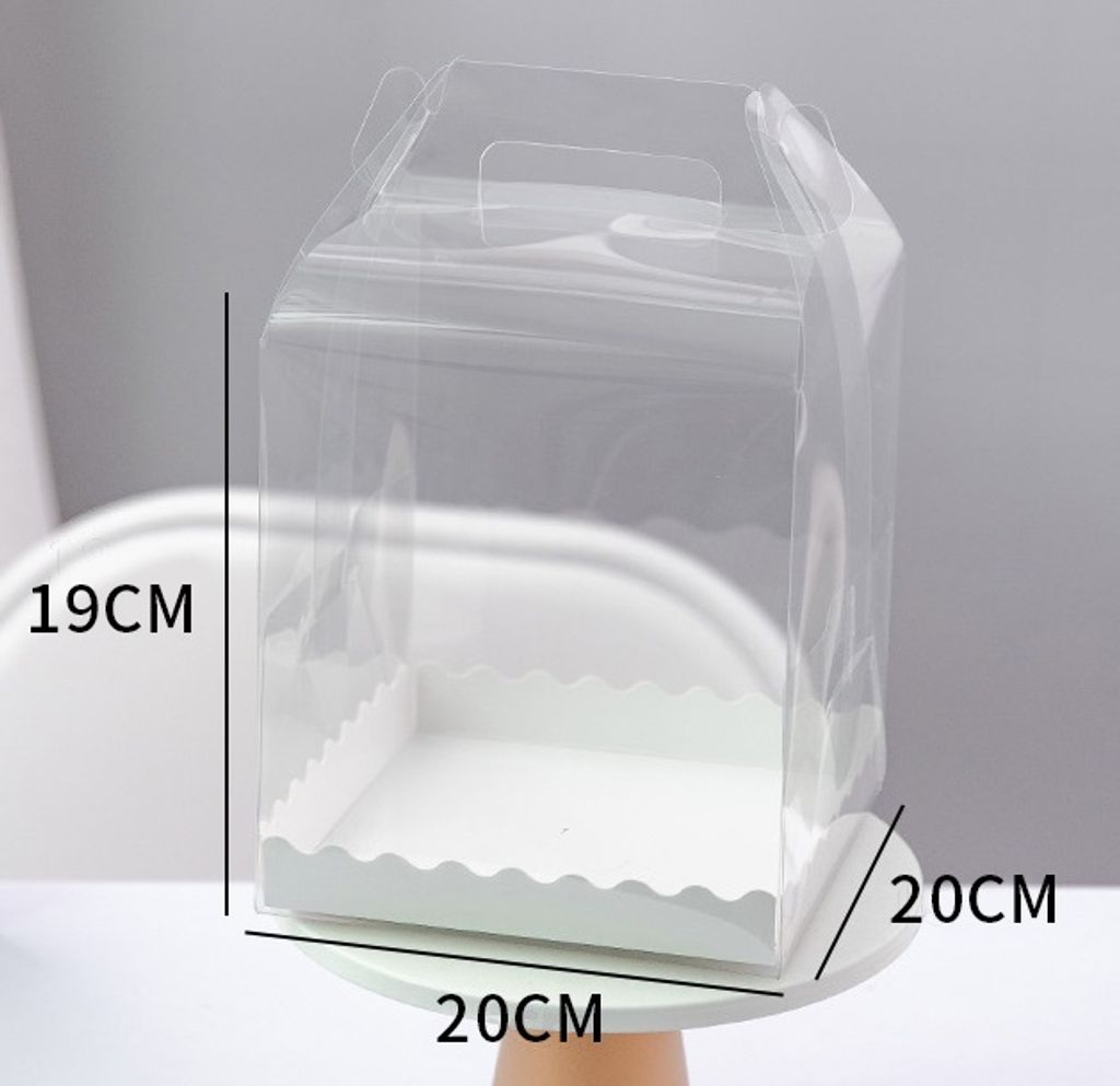 Transparent Cake Box_6 XT