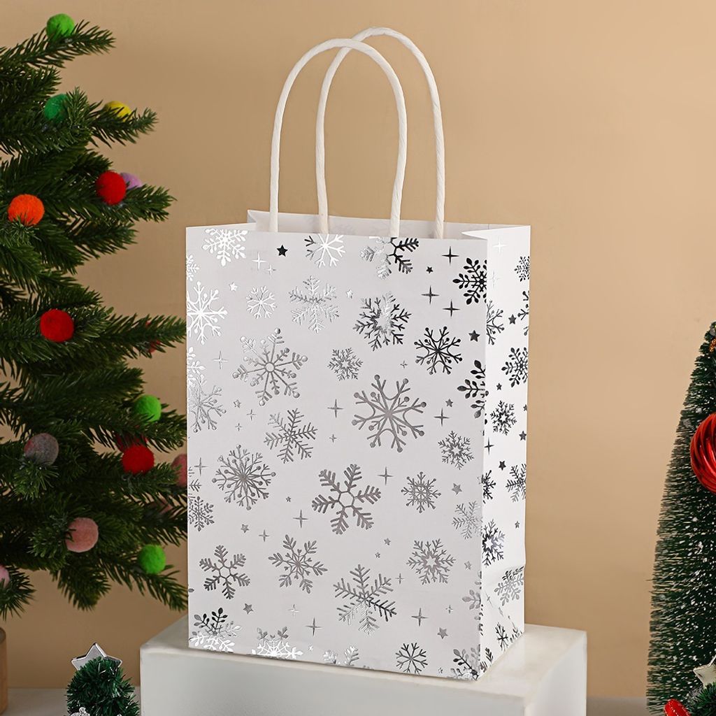 Paper Bag_S_Snow Silver