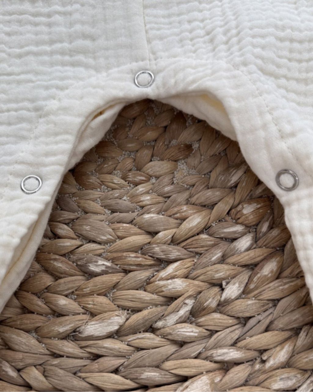 LINE_ALBUM_Mac_260325_37