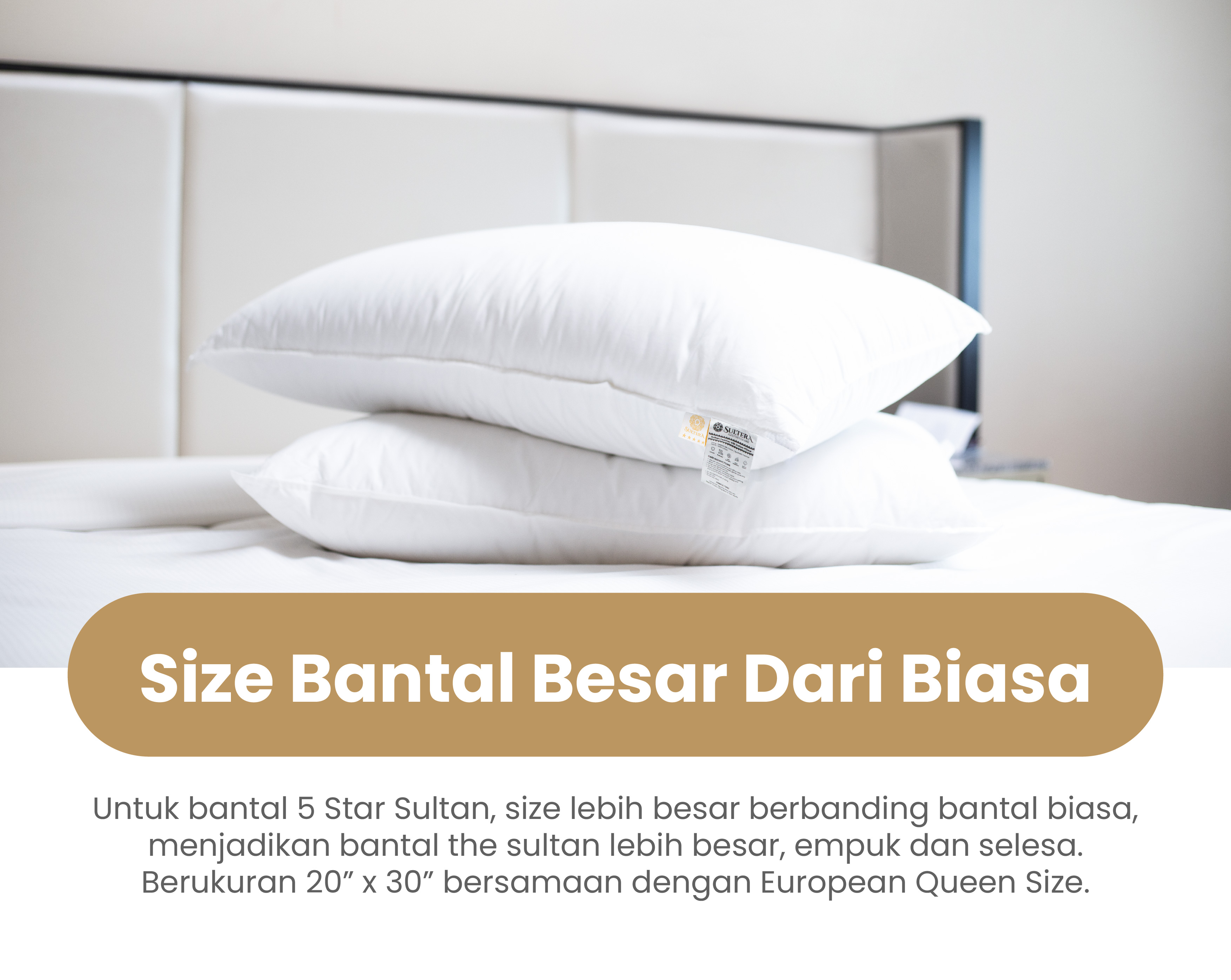 Landing Pillow-05