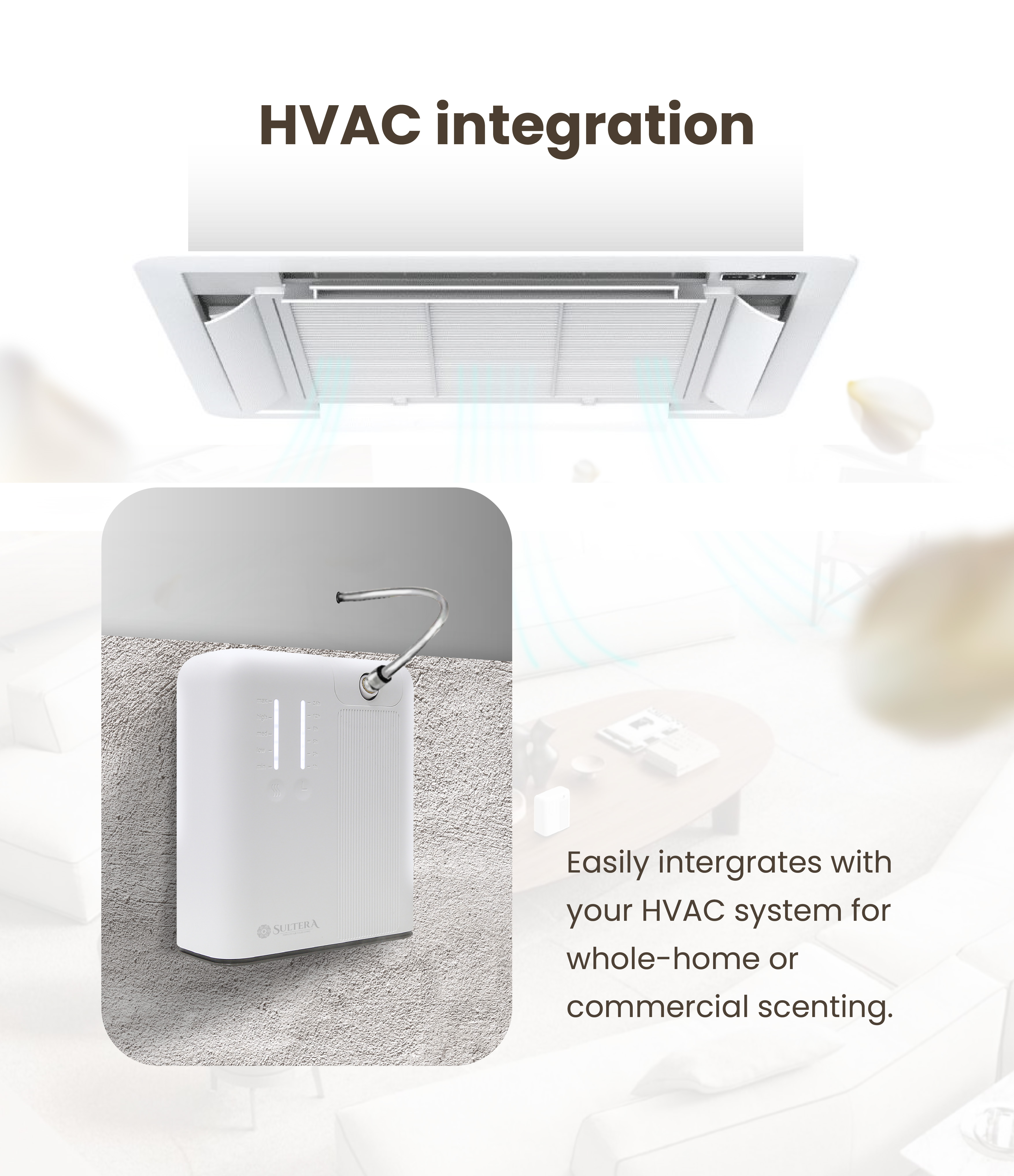 Landing Page Ambiance-10