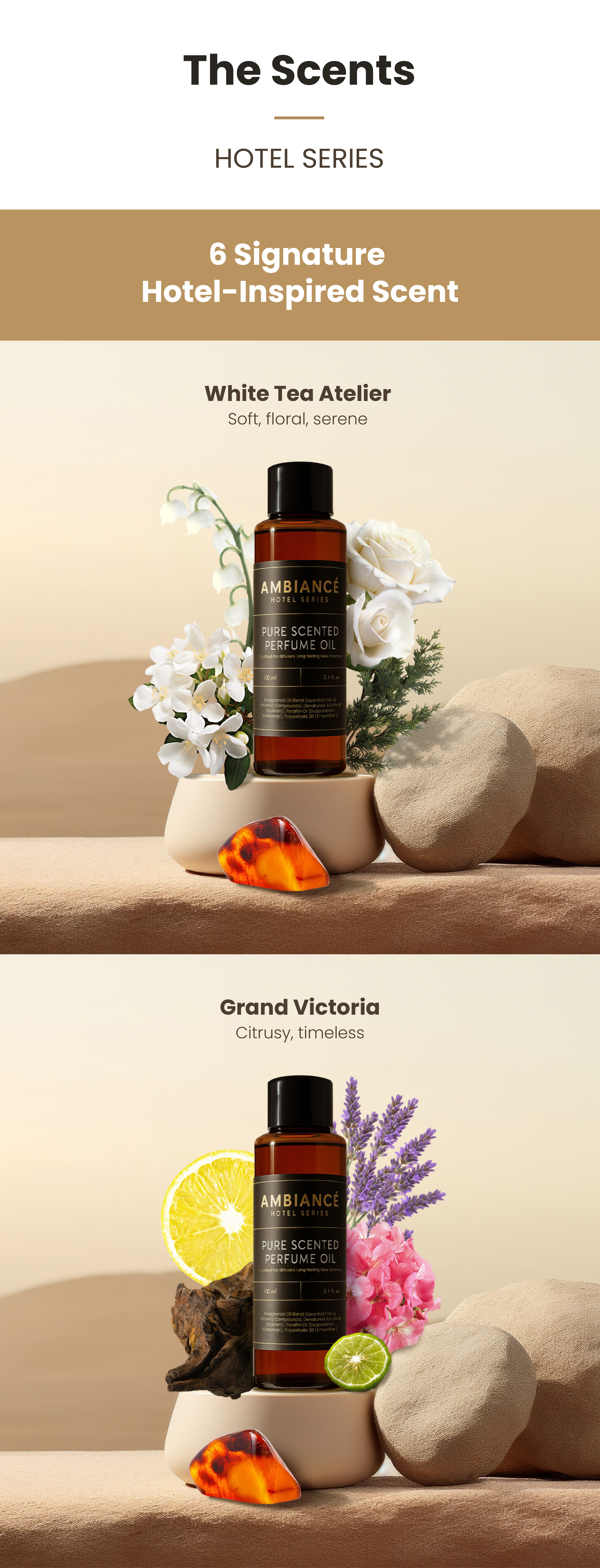 Landing Page Ambiance-12