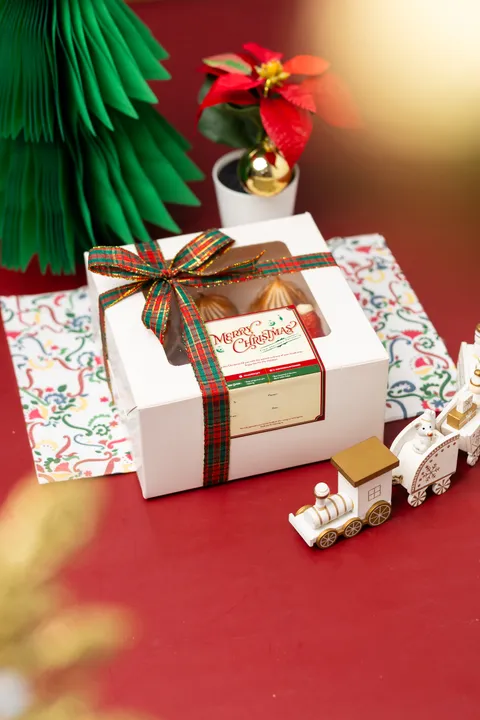 image_4CCA37A2-D011-4669-BCD1-FB0F3D2575EE_1764739354