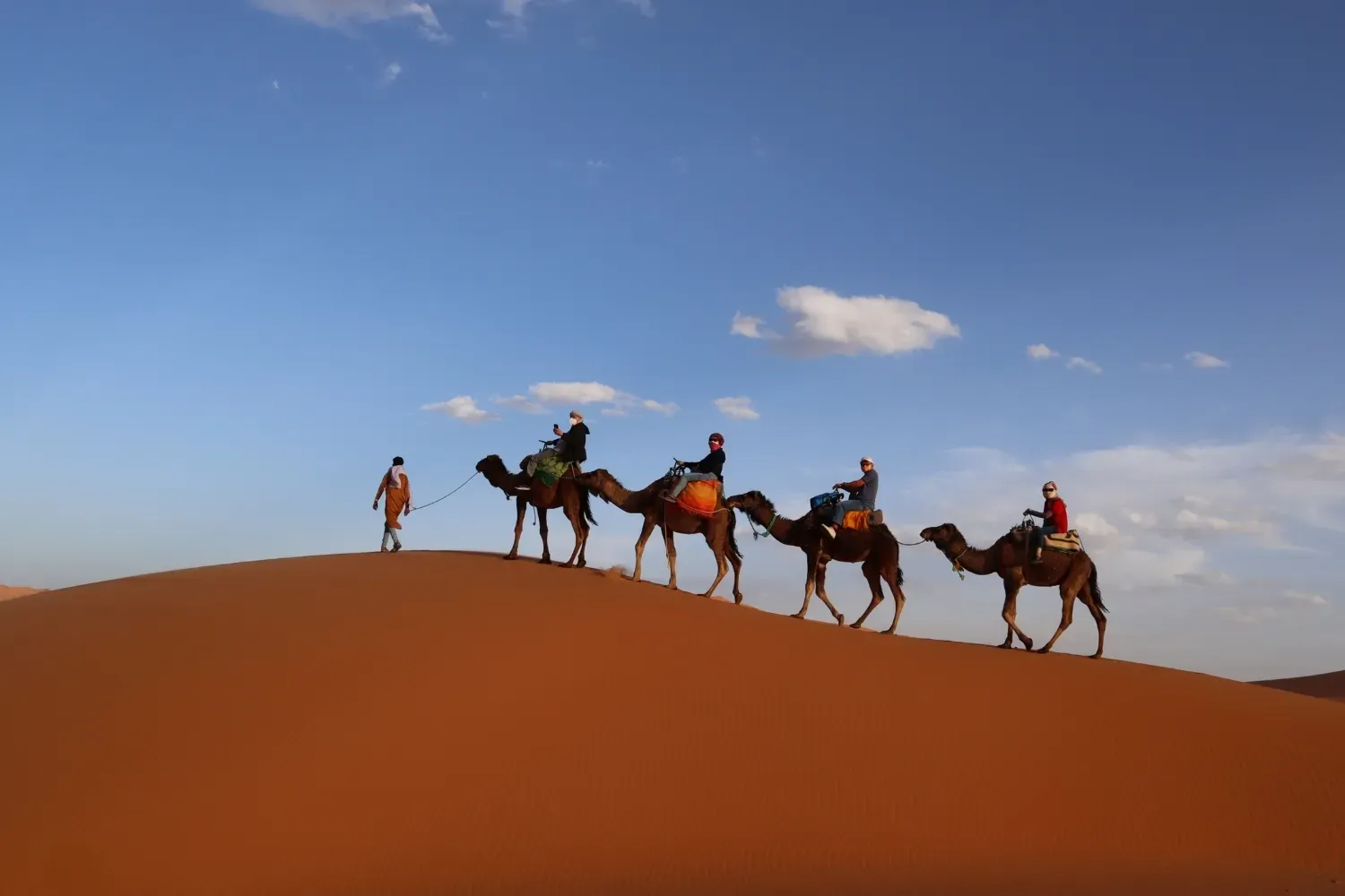 Wondrous Journey | Follow the Camels, Find the Magic of Morocco