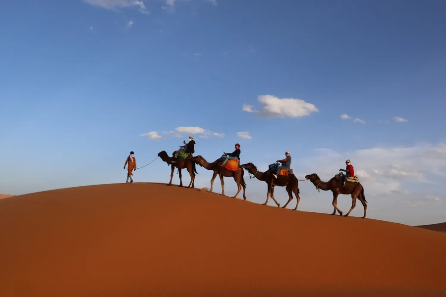 Wondrous Journey | Follow the Camels, Find the Magic of Morocco