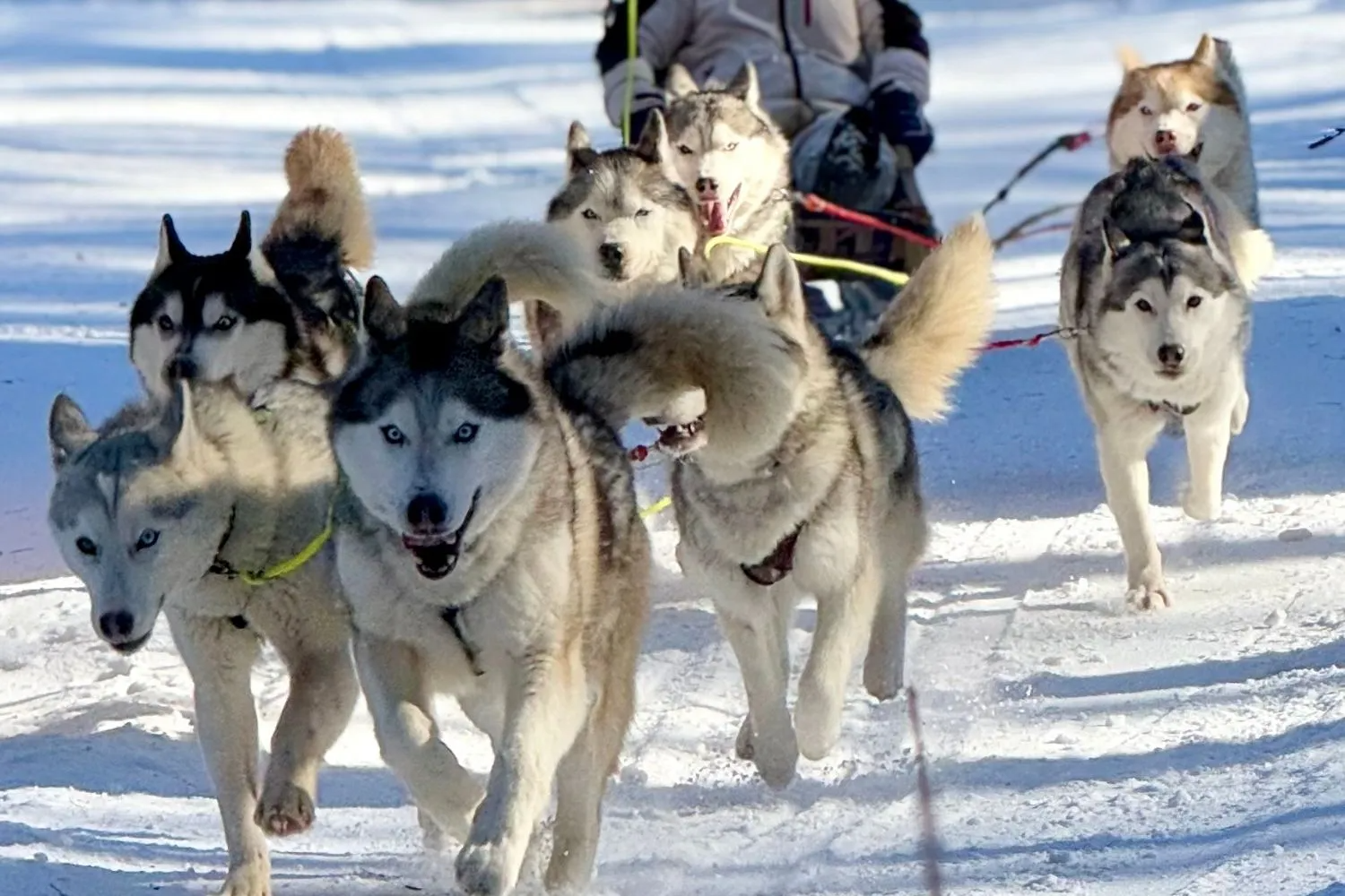 前往奥尔洪岛的气垫船
