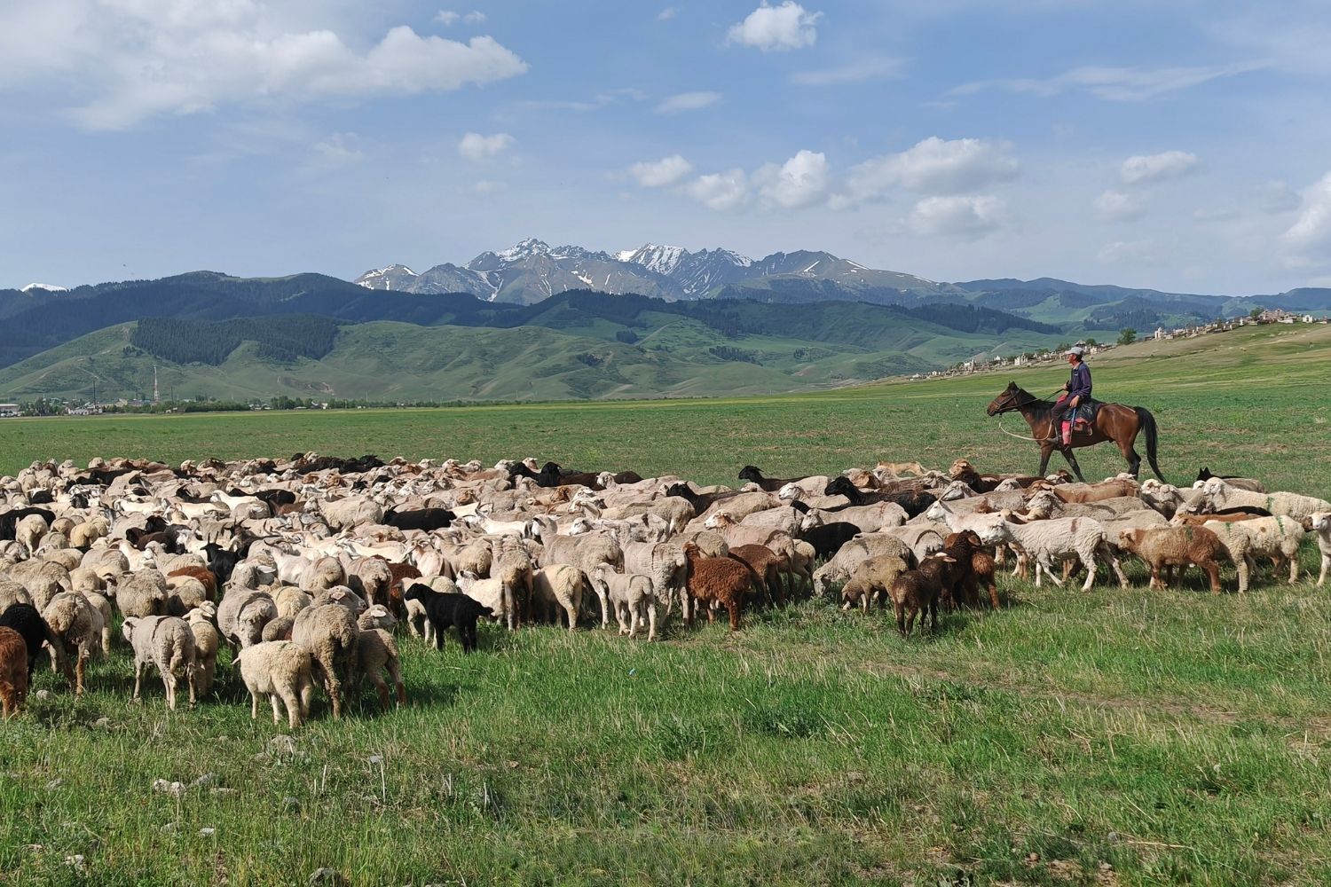 Border Crossing to Kyrgyzstan