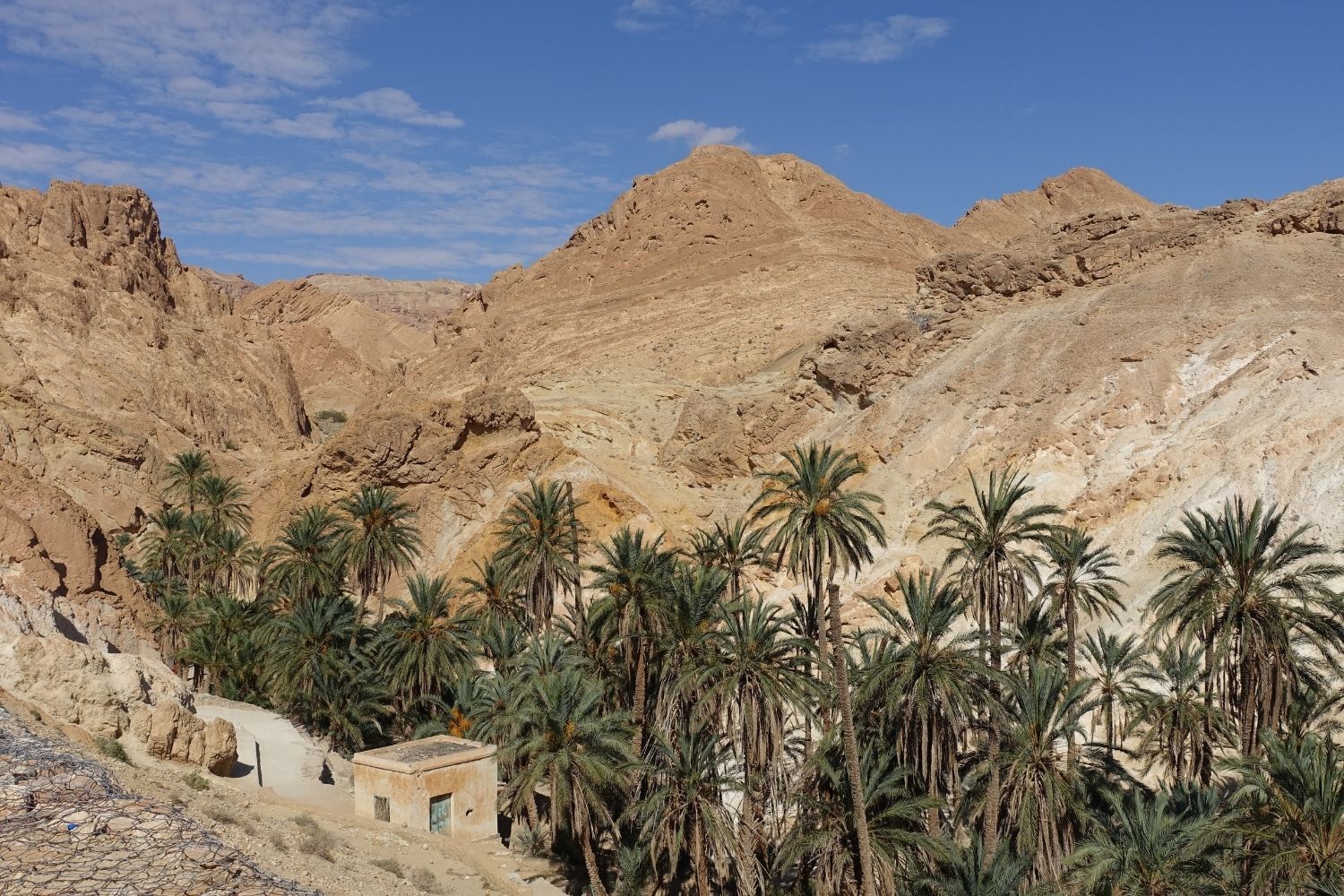Tunisia Day 6