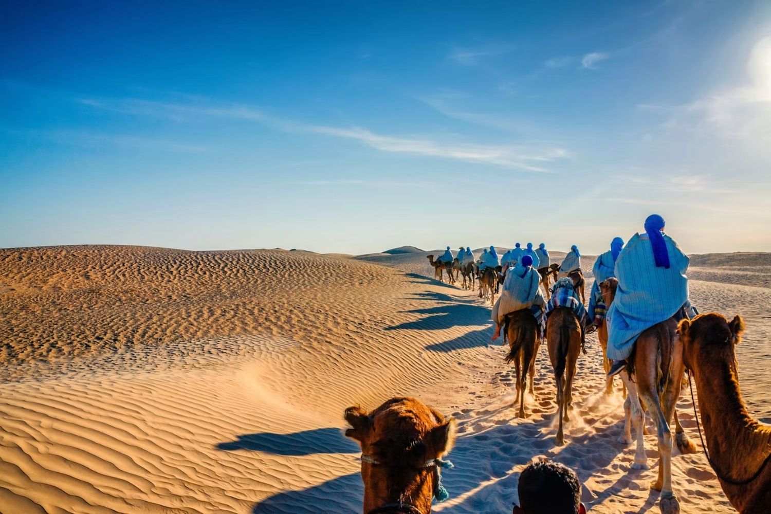 Tunisia Day 7