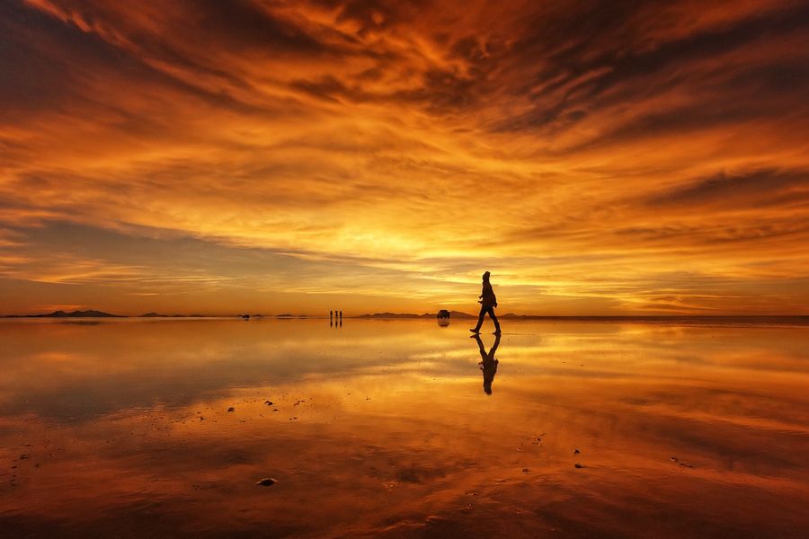 Wondrous Journey | 