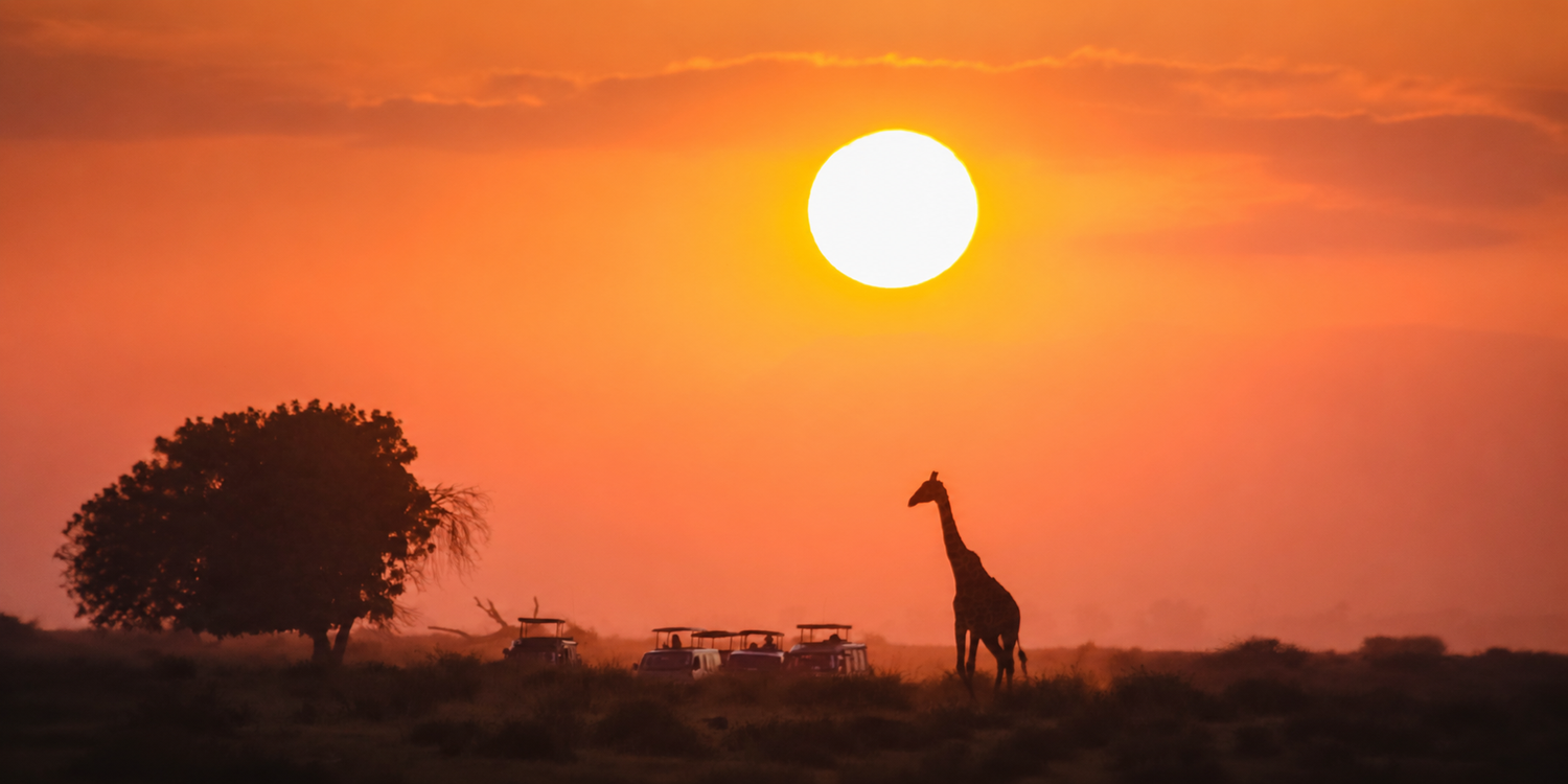 Wondrous Journey | 