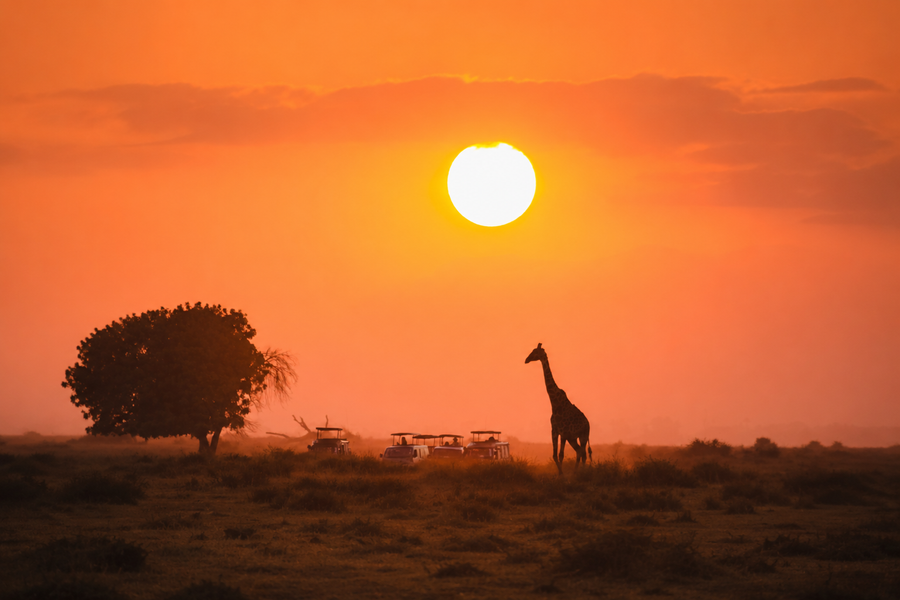 Wondrous Journey | 