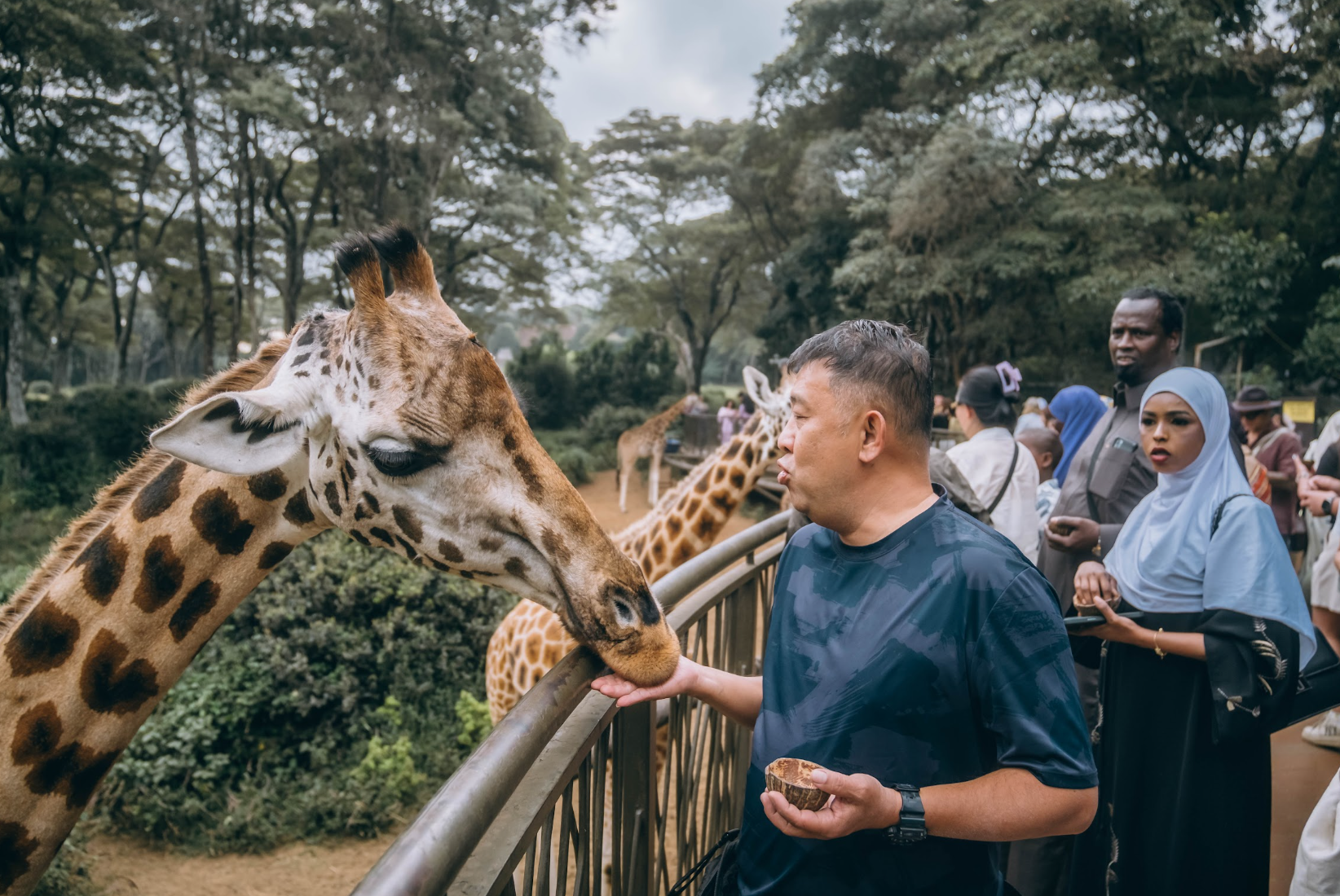 Kenya safari